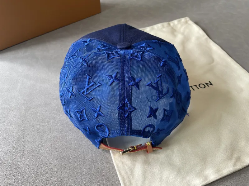 pet met Louis Vuitton monogram