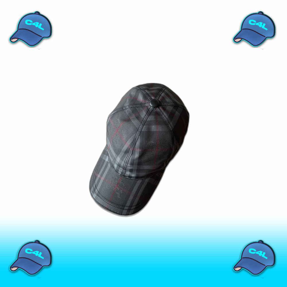 Iconic Check Baseball Cap